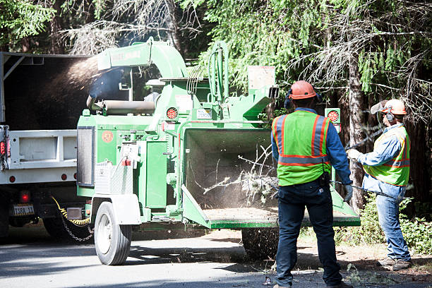 Best Firewood Processing and Delivery  in Florence, MS